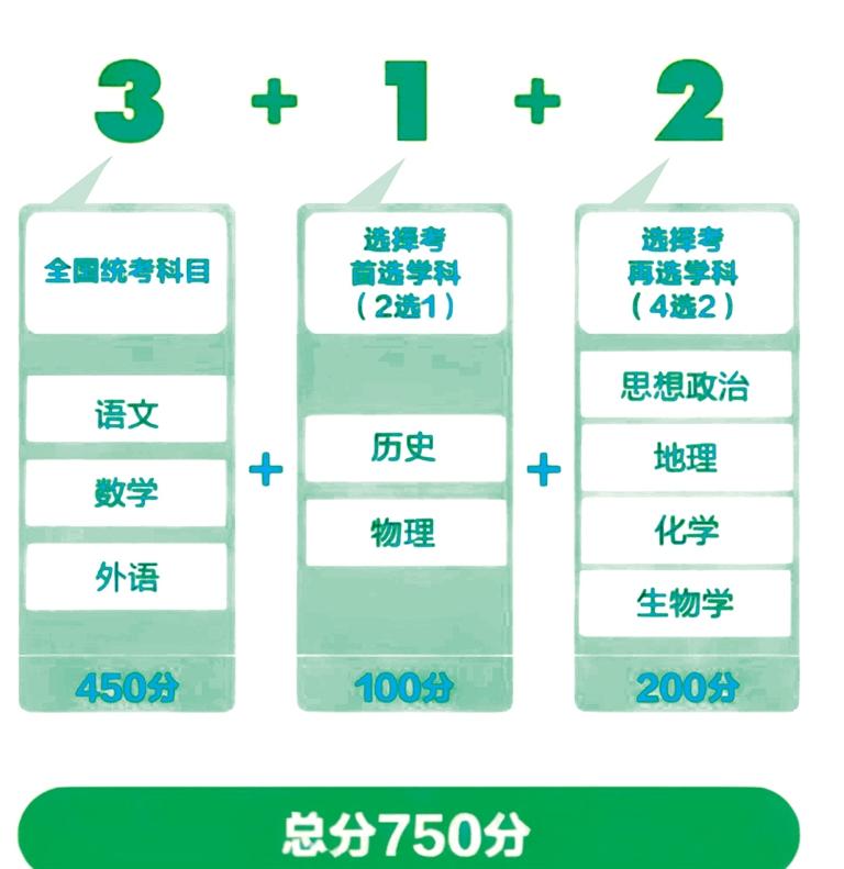 2024正板资料免费公开|全面解释解析落实