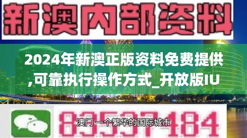 2024年新澳资料免费公开|词语释义解释落实