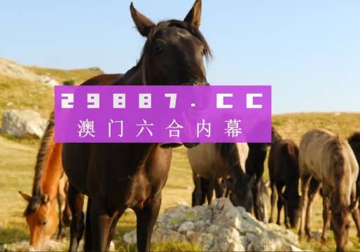 澳门管家婆一肖一码一中一|全面解释解析落实